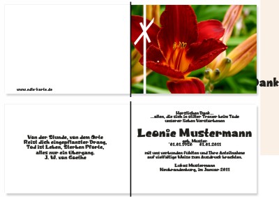 Lilie, Calla, Sonnenblume. Persönliche Trauerdankeskarten nach Trauerfall, Beerdigung und Todesfall
