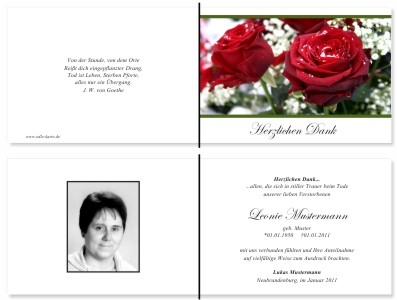 Rote Rosen. Pers&ouml;nliche Trauerdankeskarten nach Trauerfall, Beerdigung und Todesfall